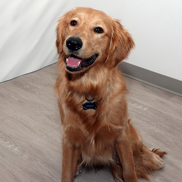 Grizzly600 Older Woman in Glasses