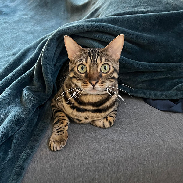 IMG3613 Older Woman in Glasses