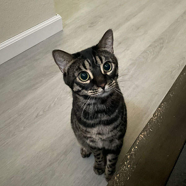 IMG6180 Older Woman in Glasses